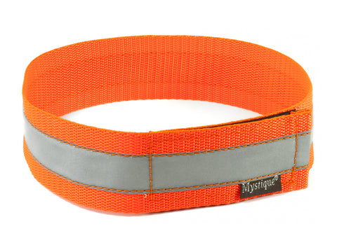 Mystique® Reflective Collar