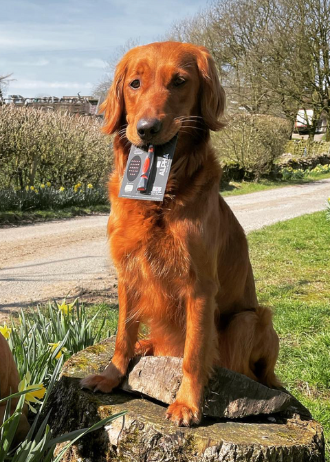Dog Whistles & Lanyards