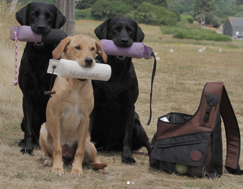 TRAINING PACKS