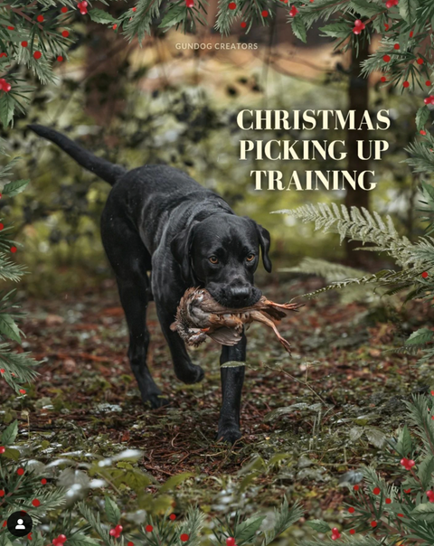 Sunday 8th December -  Christmas Training Day