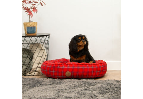 Dog lying on a red tartan dog bed in a room with a plant and table.
