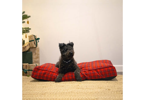 Dog sitting on a red plaid dog bed in a room with a white wall and decorative items.