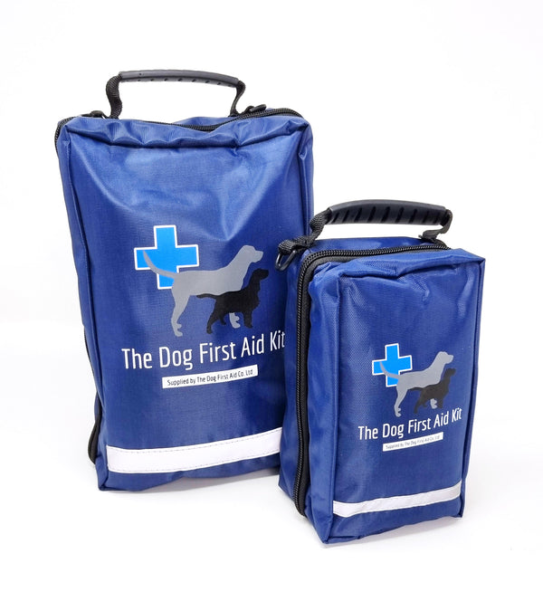 Gun dog deals training kit