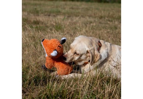 Dog playing with an orange plush toy in a grassy field