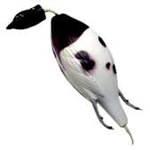Dokken Grouse Dummy