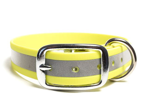 Yellow dog collar with reflective stripes and a silver buckle on a white background