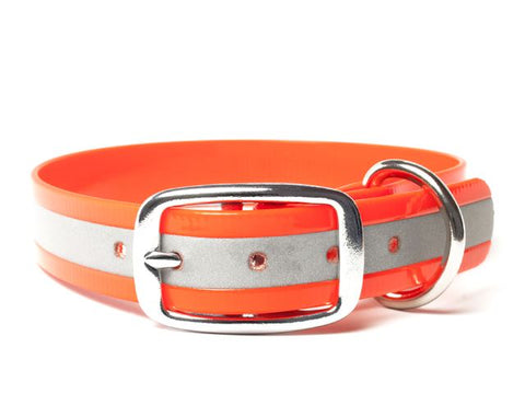 Orange and gray reflective dog collar with a silver buckle on a white background