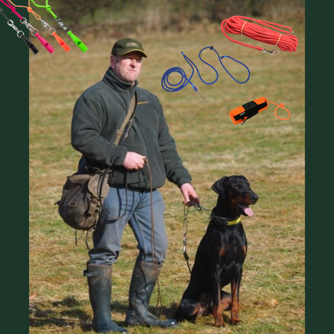 Man with a dog in a field, surrounded by dog leashes and collars.