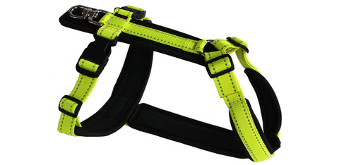 flourescent yellow dog tracker harness