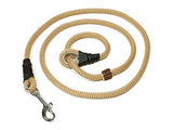 Beige German field trial hunting lead