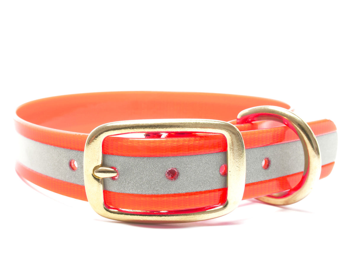 Biothane Gold Biothane Dog Collars | Muntjac Trading