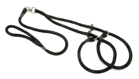 black braided dog lead for 2 dogs