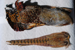 Pheasant Skin Dummy