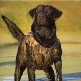 Dokken best sale dog vest