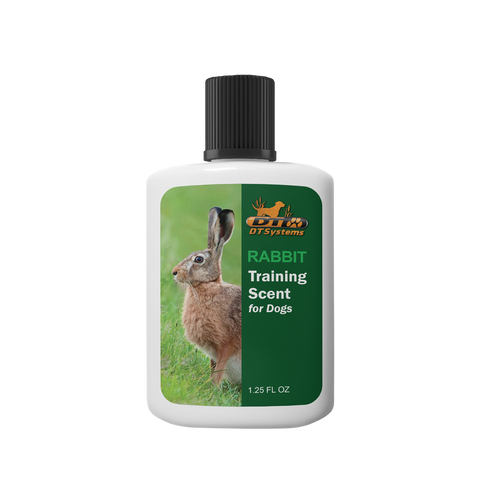 DT dog training rabbit scent