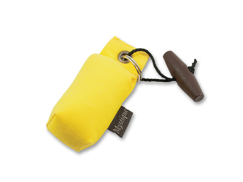 yellow keyring dog dummy