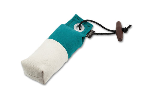 green/white  snipe dog dummy
