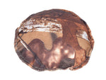 forest print gundog disc dummy