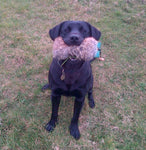 Gundog Dummy (Half Fur Half Canvas)