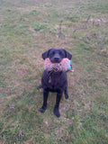 Gundog Dummy (Half Fur Half Canvas)