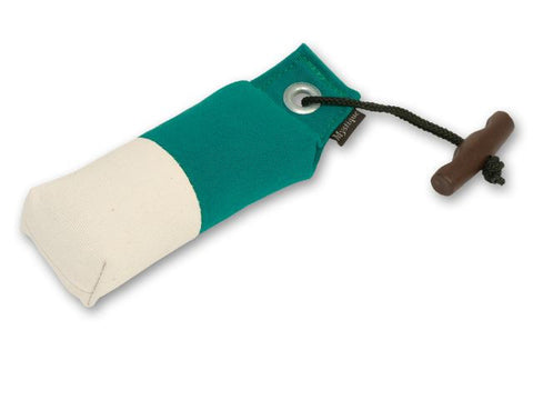 green/white canvas pocket dog dummy