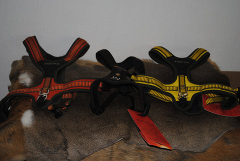 Niggeloh Follow Harness