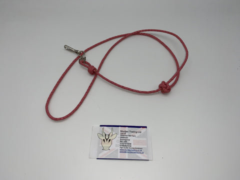 red braided leather gundog lanyard