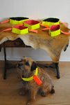 Neon Collar