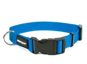 Mystique Basic Nylon Collar