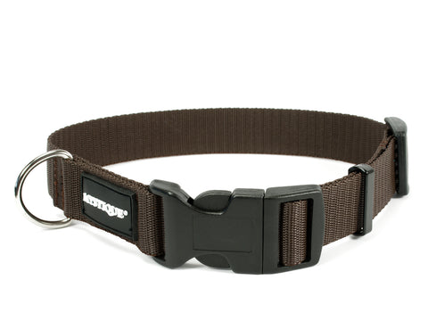 brown Mystique nylon dog collar
