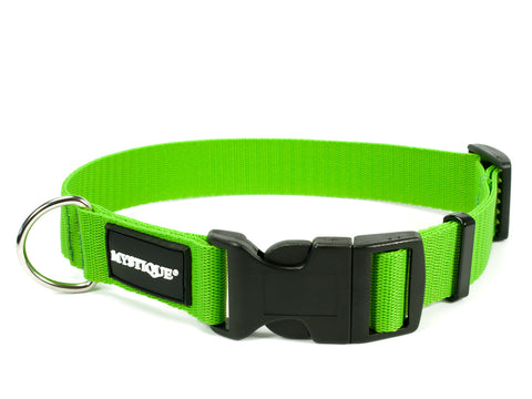 lime green Mystique nylon dog collar