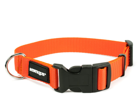 orange Mystique nylon dog collar