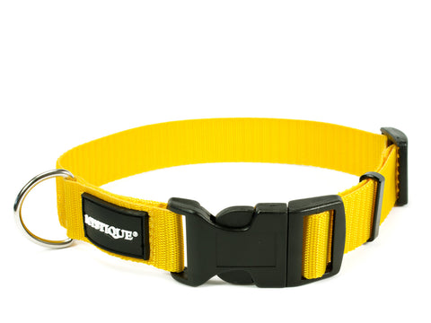 yellow Mystique nylon dog collar