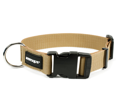 gold Mystique nylon dog collar