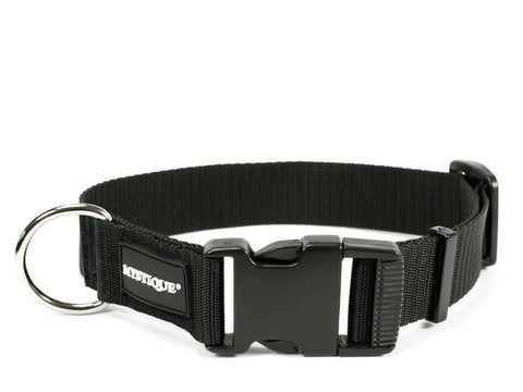 black Mystique nylon dog collar