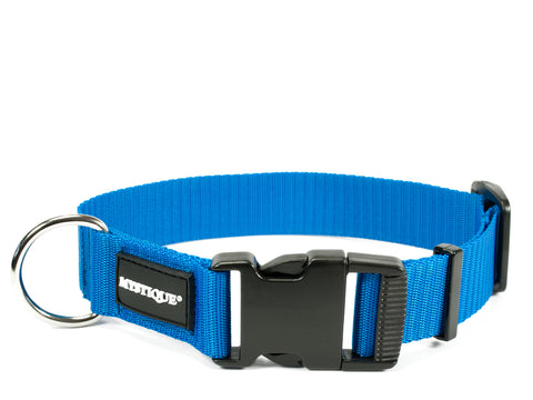 blue Mystique nylon dog collar