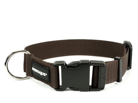 brown Mystique nylon dog collar