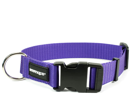 purple Mystique nylon dog collar