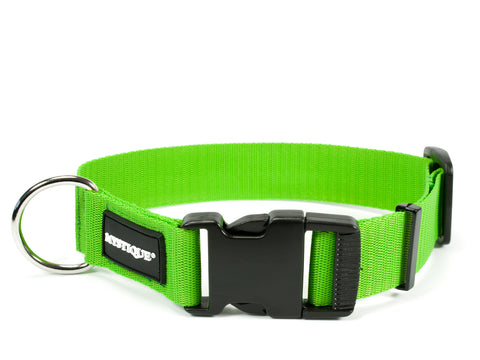 lime green Mystique nylon dog collar