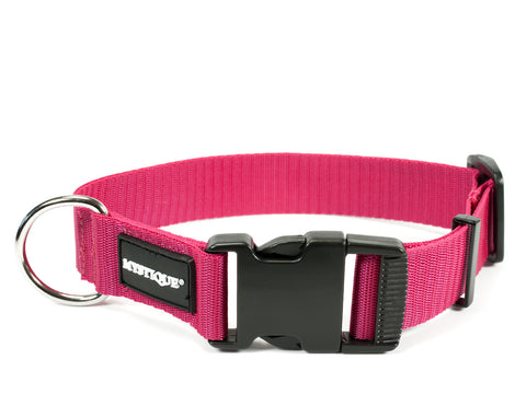 pink Mystique nylon dog collar