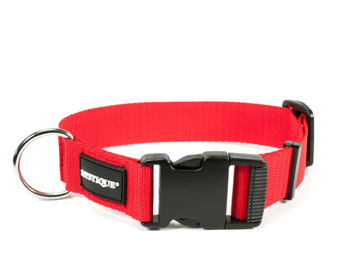 red Mystique nylon dog collar