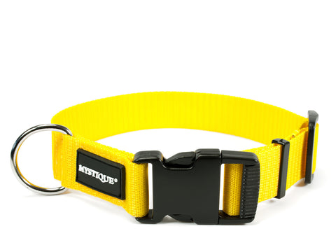 yellow Mystique nylon dog collar