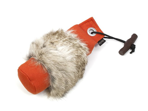 Pointer Training dummy