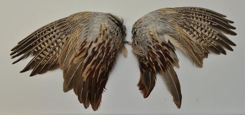 Pheasant Wings