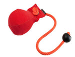 red Canvas dummy ball for dog training