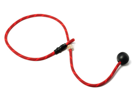 red/black healing collar with toggle