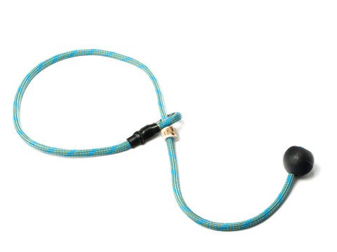 blue/orange healing collar with toggle