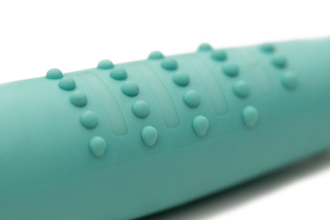 turquoise dog training whistle 