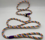 white and rainbow braided slip head collar lead