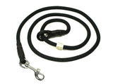black German field trial hunting lead